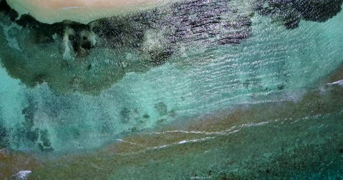 Unseen sea texture with green algae, coral reef and rocky sea bottom with wonderful colors in Dominican Republic