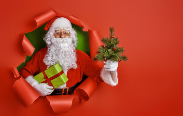 Santa Claus on color background.