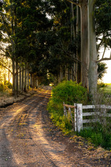 dirt road to rural settlement. In general, a rural area or countryside is a geographic area that is located outside towns and cities. Whatever is not urban is considered rural. Typical rural areas