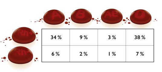 Blood groups frequency chart with most common and rarest blood types worldwide by percentage. A, B, O, AB, Rh+ and Rh- illustrated with red 3d drops.