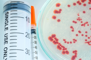 syringe and red colony in petridish