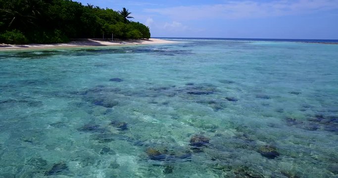 Close up of sea bottom texture with different colors and shapes of coral reefs thriving on warm waters of Philippines sea