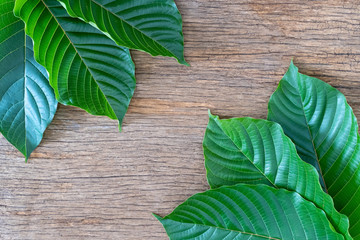 Mitragyna speciosa Korth (Kratom) is drug from plant.