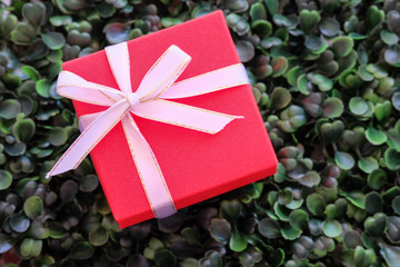gift box with special day