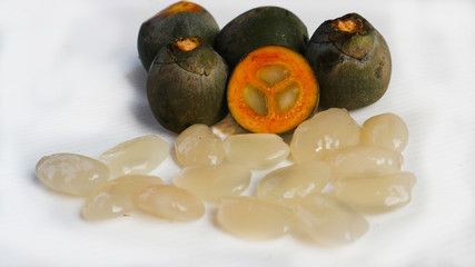 Arenga pinnata is an economically important hairy palm originated in tropical Asia, often made into sweet fur.                    