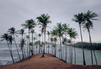 Naklejka premium The Cloudy sky at the Coconut hill, It’s located at the Mirissa, Sri Lanka.