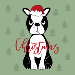 Christmas - handwritten text, with cute Boston Terrier on green backgound. Good for greeting card and  t-shirt print, flyer, banner, poster design, mug.