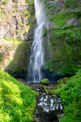 Fototapeta na wymiar Base of Multnomah Falls - Columbia River Gorge, Oregon, USA