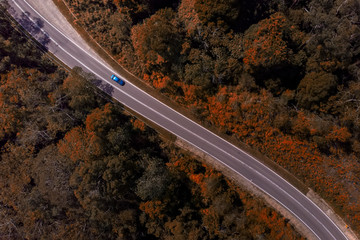 Top view of the the rainforest asphalt road in Sabah, Borneo