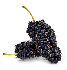 Mulberry on the white background