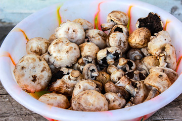 mushrooms in a pan