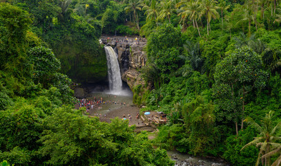 Fototapeta premium waterfall in forest