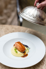 Roasted Salmon Fish with Potato Puree on White Plate