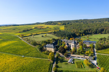 Die herbstlich verfärbten Weinberge bei Oestrich-Winkel/Deutschland und das Schloss Vollrads