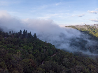Amazing drone footage of beautiful nature deep rainforest jungle on Kundasang, Sabah, Malaysia.- Travel Concept