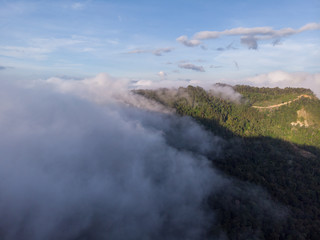 Amazing drone footage of beautiful nature deep rainforest jungle on Kundasang, Sabah, Malaysia.- Travel Concept