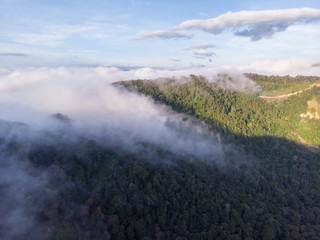 Amazing drone footage of beautiful nature deep rainforest jungle on Kundasang, Sabah, Malaysia.-...