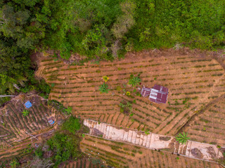 Amazing drone image  of beautiful nature deep rainforest jungle with asphalt road at Sabah, Borneo