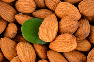  almonds  background