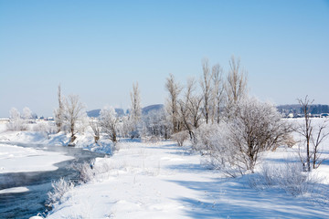 寒い冬の朝の川