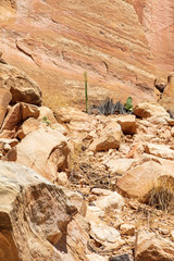 Ancient Fremont People petroglyphs make present day visitor aware of their existence oin the...