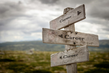 Career  wooden signpost/road sign out in the wilderness..Business, strategy, lifestyle, success, work, path concept.