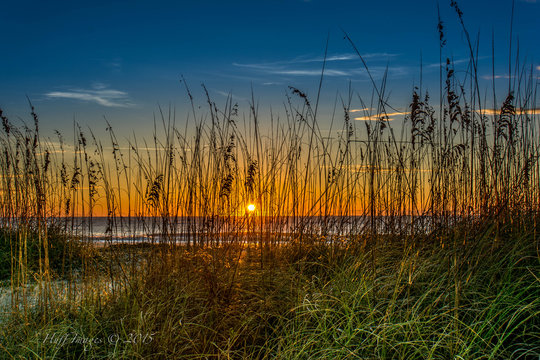 Hilton Head Sunrise