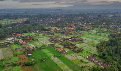 Ubud view from top