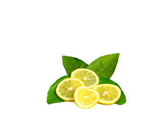 lemon isolated on a white background