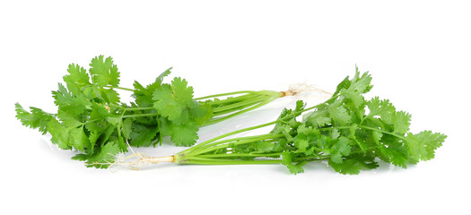 Bunch of fresh coriander leaves over white background