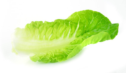 Fototapeta na wymiar Baby Cos lettuce isolated on white