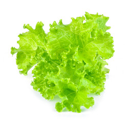 fresh green lettuce leaves isolated on white