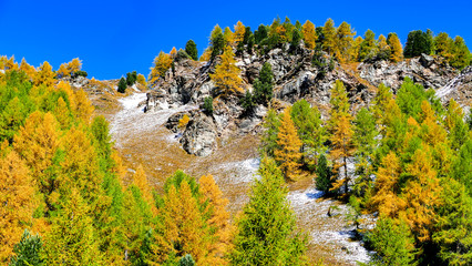 autumn in the mountains