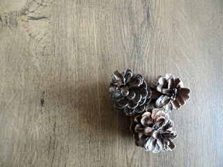 3 pine cones on the table