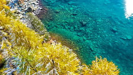 fish in the sea © PANZFABIO