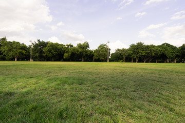 landscape of grass field and green environment public park use as natural background,backdrop