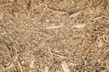 wooden and lumber sawdust