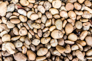 stone floor texture, stone floor in the garden.
