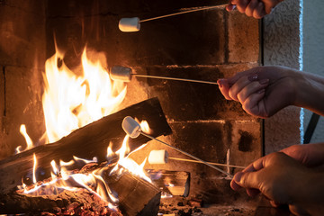 Company of friends fries a delicious, sweet marshmallow on a fire in an open fireplace on a winter day.
