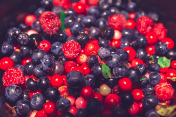Red and blue berries.
