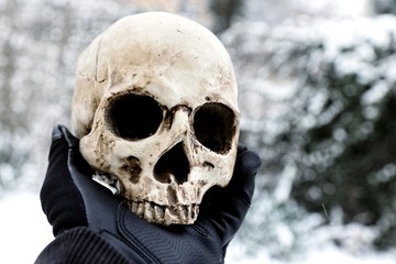 Skull of the reaper closeup photo