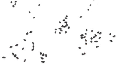 sweet basil seed on white background