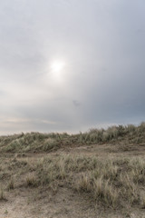 Dünenlandschaft am Strand mit einem bewölkten Himmel