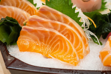 Raw salmon sashimi slice on ice Japanese food