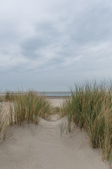 Fototapeta na wymiar Dünenlandschaft am Strand mit Blick aufs Meer bei bewölkten Himmel