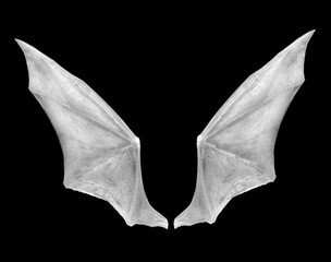 bat wings isolated on white.