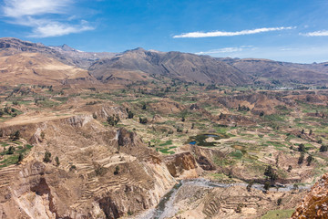 Colca Canyon