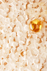 Honey background. Sweet honey in the comb.