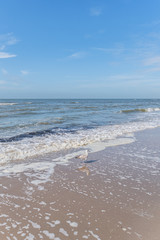 Blick vom Strand aufs Meer mit einer Möwe im Vordergrund