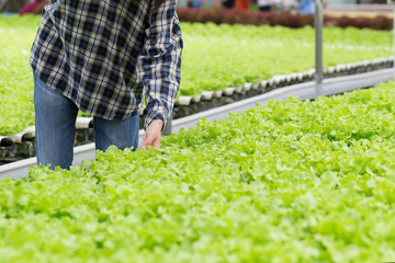 Close up Asian farmer woman checking quality of hydroponic vegetable greenhouse farm